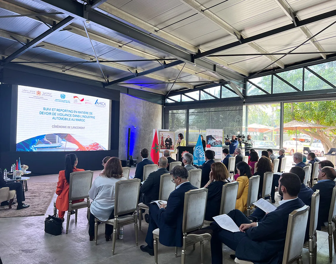 Intervenants du projet ONUDI AMICA