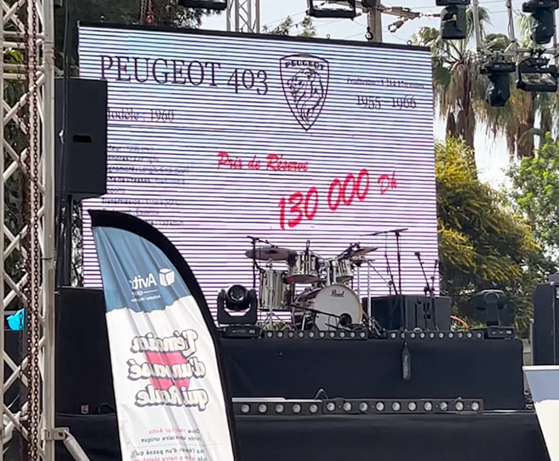 Public pendant la vente aux enchères
